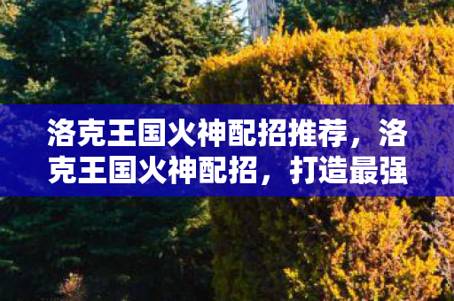 洛克王国火神配招推荐，洛克王国火神配招，打造最强战斗阵容