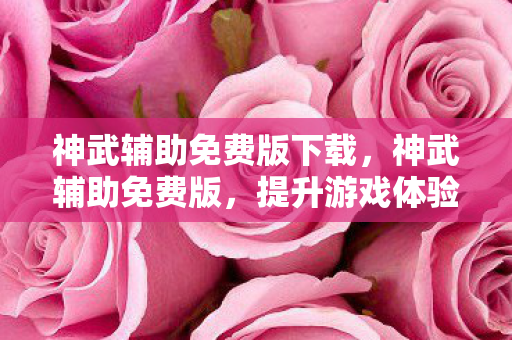 神武辅助免费版下载，神武辅助免费版，提升游戏体验的明智选择