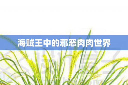 海贼王中的邪恶肉肉世界