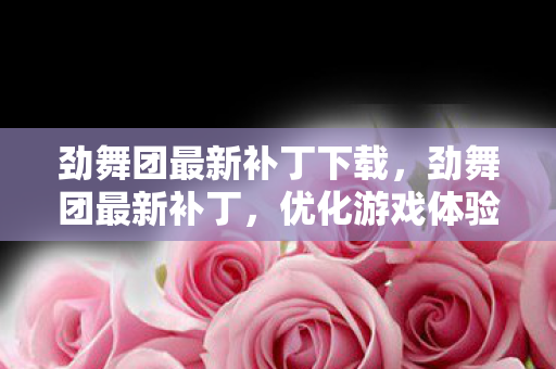 劲舞团最新补丁下载，劲舞团最新补丁，优化游戏体验，提升游戏性能