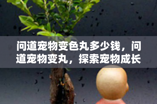 问道宠物变色丸多少钱，问道宠物变丸，探索宠物成长新路径