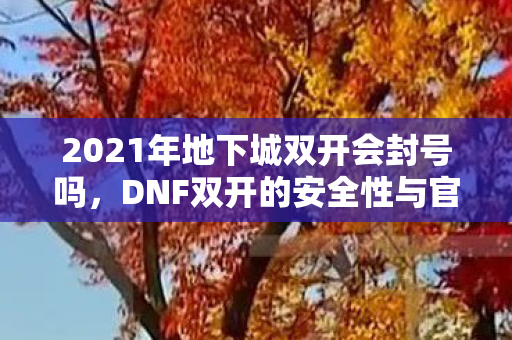 2021年地下城双开会封号吗，DNF双开的安全性与官方政策解析