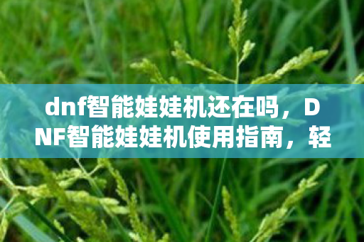 dnf智能娃娃机还在吗，DNF智能娃娃机使用指南，轻松获取稀有道具