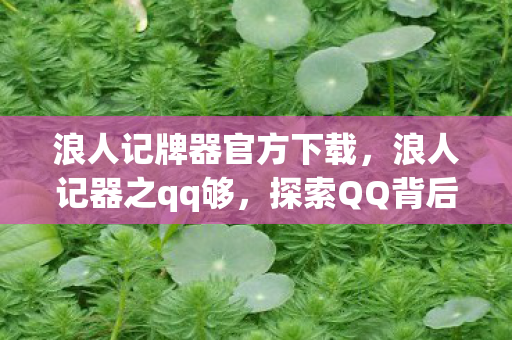 浪人记牌器官方下载，浪人记器之qq够，探索QQ背后的数字世界