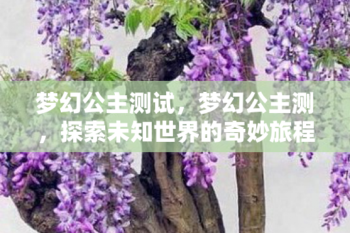 梦幻公主测试，梦幻公主测，探索未知世界的奇妙旅程