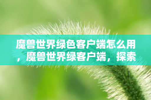 魔兽世界绿色客户端怎么用，魔兽世界绿客户端，探索经典，重温旧梦