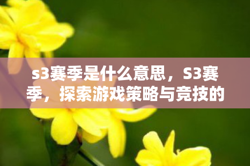 s3赛季是什么意思，S3赛季，探索游戏策略与竞技的无限可能