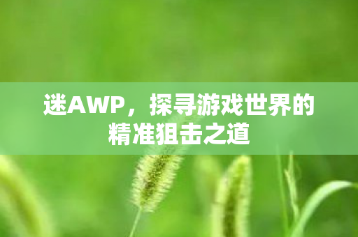 迷AWP，探寻游戏世界的精准狙击之道