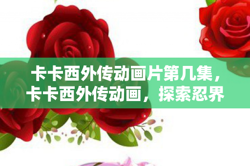 卡卡西外传动画片第几集，卡卡西外传动画，探索忍界的传奇故事