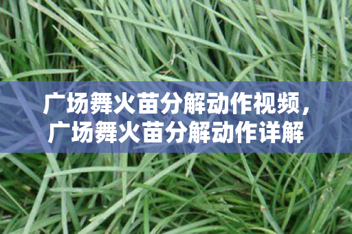 广场舞火苗分解动作视频，广场舞火苗分解动作详解