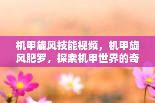 机甲旋风技能视频，机甲旋风肥罗，探索机甲世界的奇妙之旅