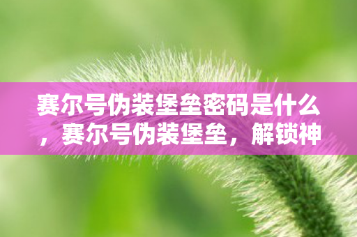 赛尔号伪装堡垒密码是什么，赛尔号伪装堡垒，解锁神秘密码，探索未知宇宙