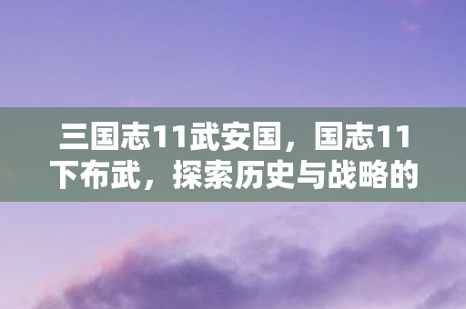 三国志11武安国，国志11下布武，探索历史与战略的深度交融