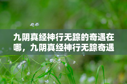 九阴真经神行无踪的奇遇在哪，九阴真经神行无踪奇遇