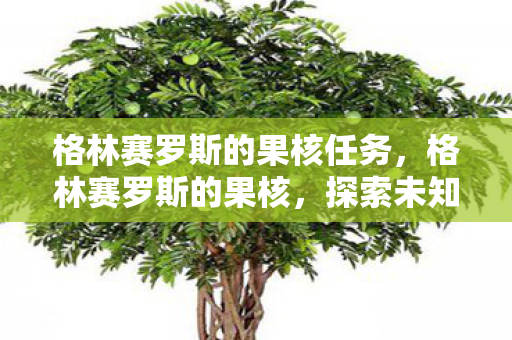 格林赛罗斯的果核任务，格林赛罗斯的果核，探索未知世界的奇幻之旅