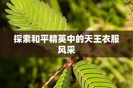 探索和平精英中的天王衣服风采