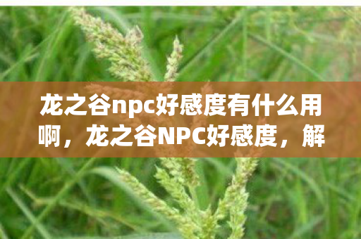 龙之谷npc好感度有什么用啊，龙之谷NPC好感度，解锁隐藏福利与游戏乐趣的钥匙
