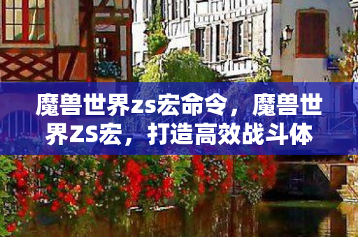 魔兽世界zs宏命令，魔兽世界ZS宏，打造高效战斗体验