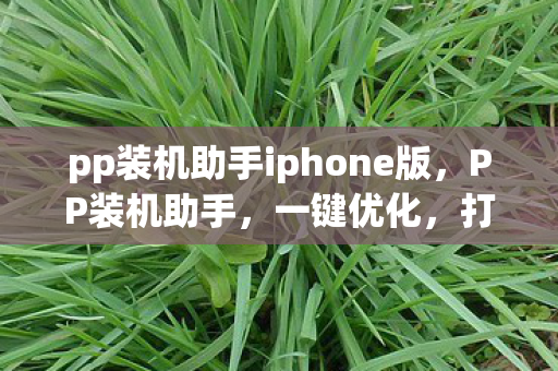 pp装机助手iphone版，PP装机助手，一键优化，打造高效电脑环境