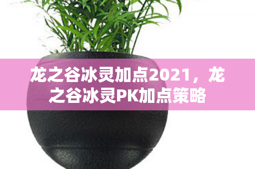 龙之谷冰灵加点2021，龙之谷冰灵PK加点策略