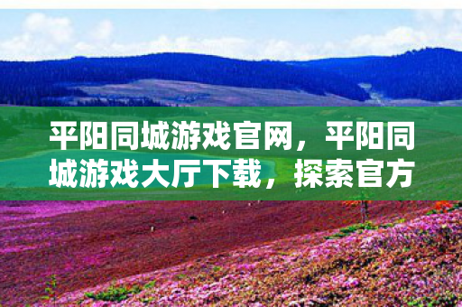 平阳同城游戏官网，平阳同城游戏大厅下载，探索官方正版游戏的便捷途径