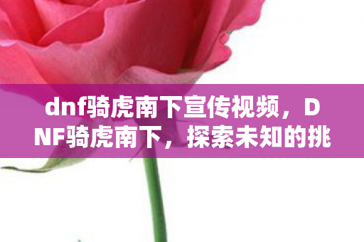 dnf骑虎南下宣传视频，DNF骑虎南下，探索未知的挑战与机遇