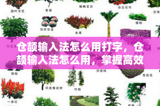 仓颉输入法怎么用打字，仓颉输入法怎么用，掌握高效输入技巧