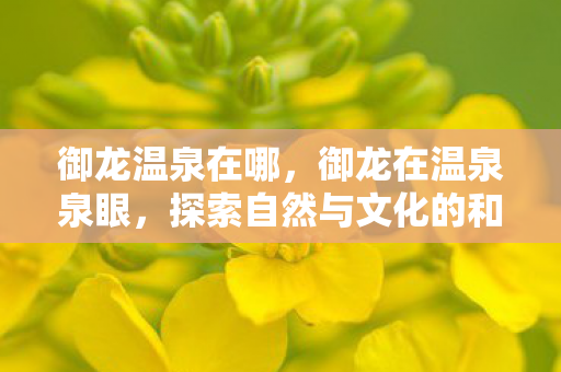 御龙温泉在哪，御龙在温泉泉眼，探索自然与文化的和谐共生