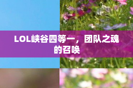 LOL峡谷四等一，团队之魂的召唤