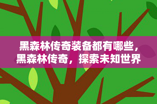 黑森林传奇装备都有哪些，黑森林传奇，探索未知世界的奇幻之旅