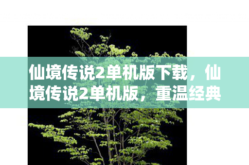 仙境传说2单机版下载，仙境传说2单机版，重温经典，探索未知