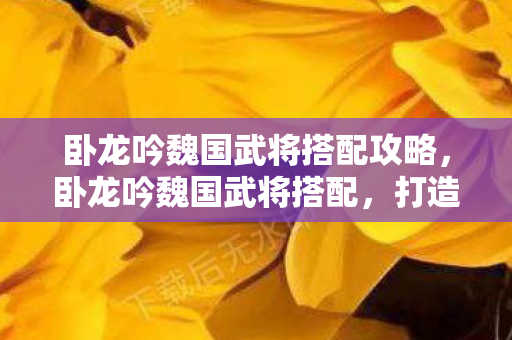 卧龙吟魏国武将搭配攻略，卧龙吟魏国武将搭配，打造最强战斗阵容