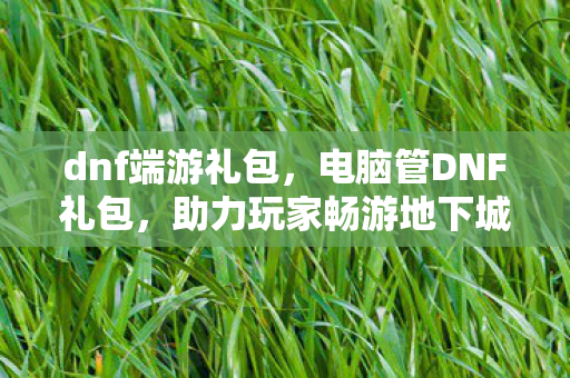 dnf端游礼包，电脑管DNF礼包，助力玩家畅游地下城