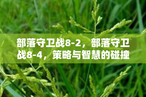 部落守卫战8-2，部落守卫战8-4，策略与智慧的碰撞