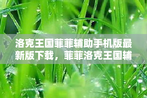 洛克王国菲菲辅助手机版最新版下载，菲菲洛克王国辅助，提升游戏体验的得力助手