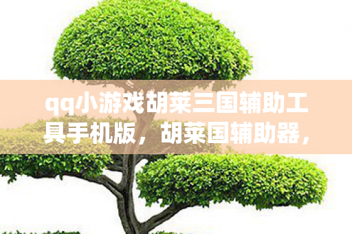 qq小游戏胡莱三国辅助工具手机版，胡莱国辅助器，游戏辅助工具的正确使用与注意事项