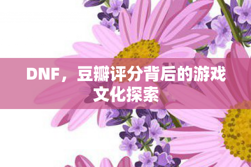 DNF，豆瓣评分背后的游戏文化探索