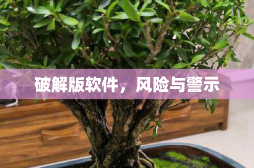 破解版软件，风险与警示
