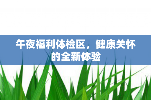 午夜福利体检区，健康关怀的全新体验