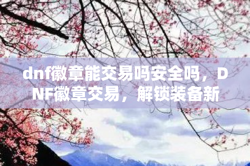 dnf徽章能交易吗安全吗，DNF徽章交易，解锁装备新可能