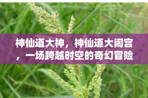 神仙道大神，神仙道大闹宫，一场跨越时空的奇幻冒险