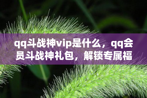 qq斗战神vip是什么，qq会员斗战神礼包，解锁专属福利，助力游戏之旅