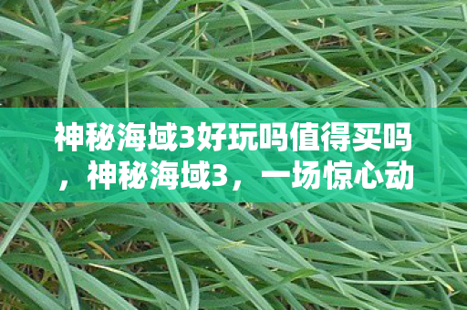 神秘海域3好玩吗值得买吗，神秘海域3，一场惊心动魄的冒险之旅