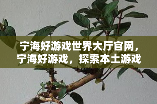 宁海好游戏世界大厅官网，宁海好游戏，探索本土游戏文化的魅力
