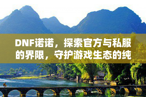 DNF诺诺，探索官方与私服的界限，守护游戏生态的纯净