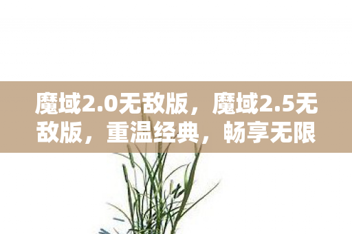 魔域2.0无敌版，魔域2.5无敌版，重温经典，畅享无限可能