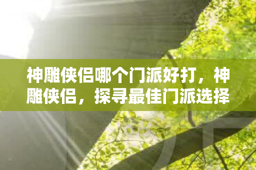 神雕侠侣哪个门派好打，神雕侠侣，探寻最佳门派选择