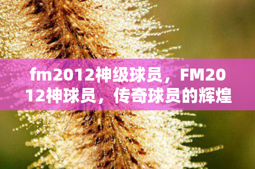 fm2012神级球员，FM2012神球员，传奇球员的辉煌与荣耀