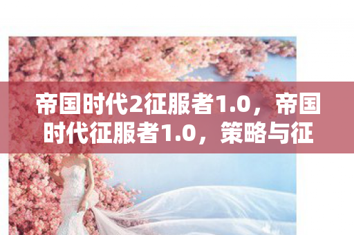 帝国时代2征服者1.0，帝国时代征服者1.0，策略与征服的极致体验