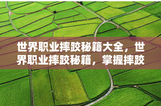 世界职业摔跤秘籍大全，世界职业摔跤秘籍，掌握摔跤技巧，成就王者之路